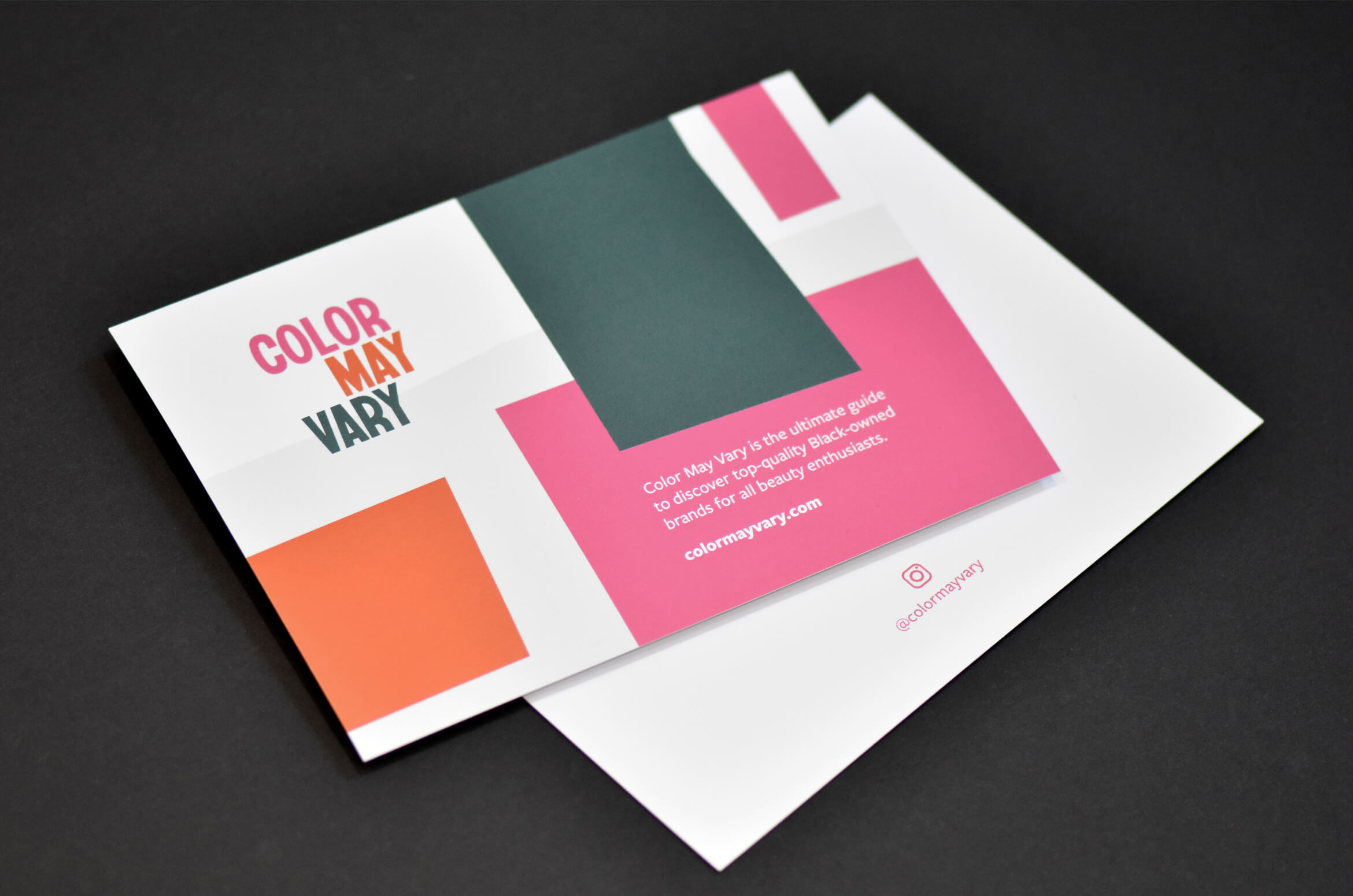 Color May Vary Flyer