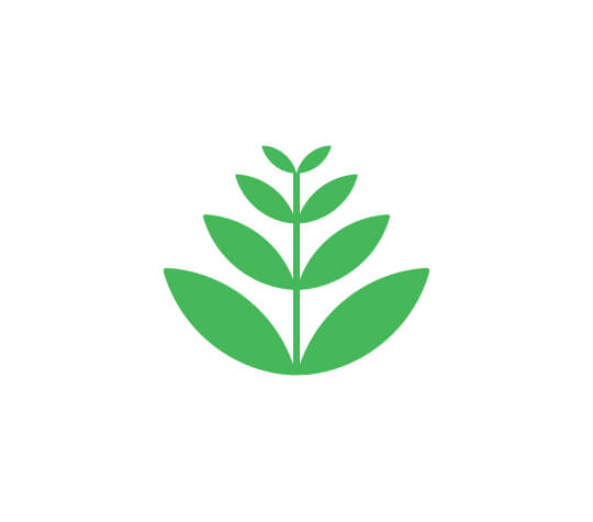 acaciawood